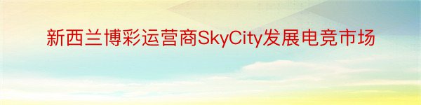 新西兰博彩运营商SkyCity发展电竞市场