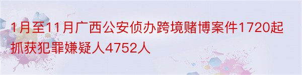 1月至11月广西公安侦办跨境赌博案件1720起抓获犯罪嫌疑人4752人