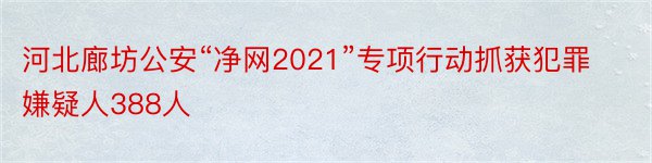 河北廊坊公安“净网2021”专项行动抓获犯罪嫌疑人388人