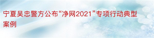 宁夏吴忠警方公布“净网2021”专项行动典型案例