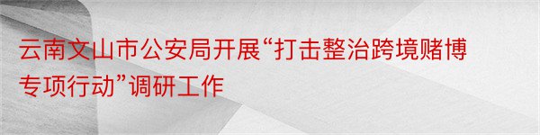 云南文山市公安局开展“打击整治跨境赌博专项行动”调研工作