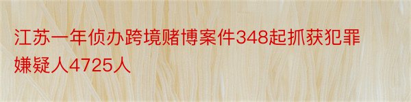 江苏一年侦办跨境赌博案件348起抓获犯罪嫌疑人4725人
