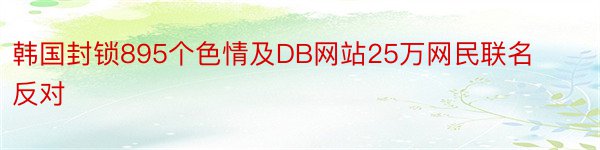 韩国封锁895个色情及DB网站25万网民联名反对