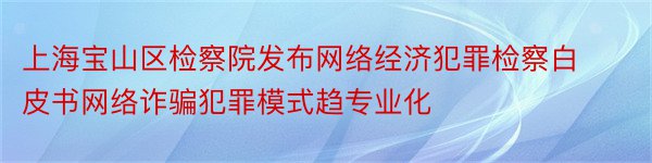 上海宝山区检察院发布网络经济犯罪检察白皮书网络诈骗犯罪模式趋专业化